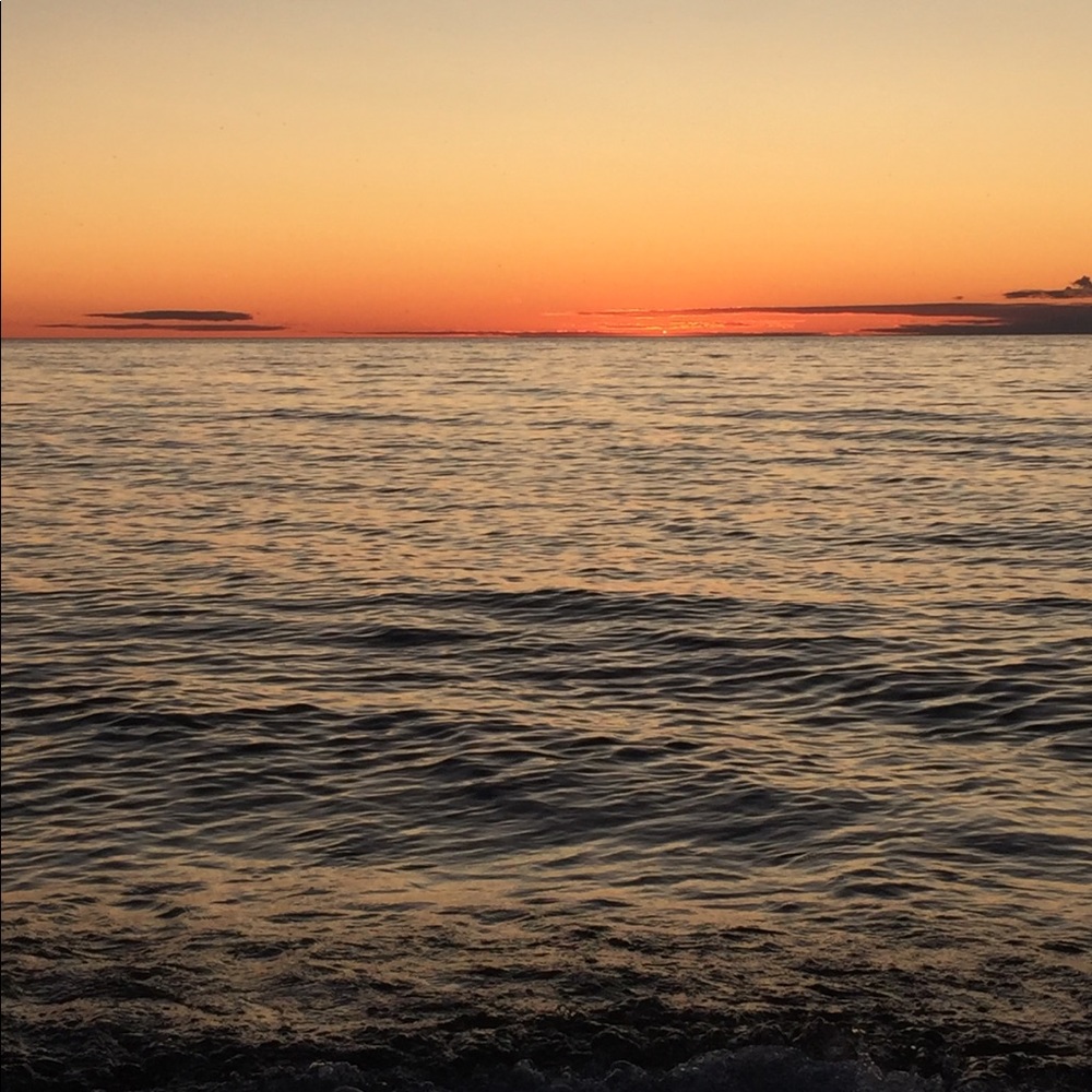 Meet your Posher, Arianna